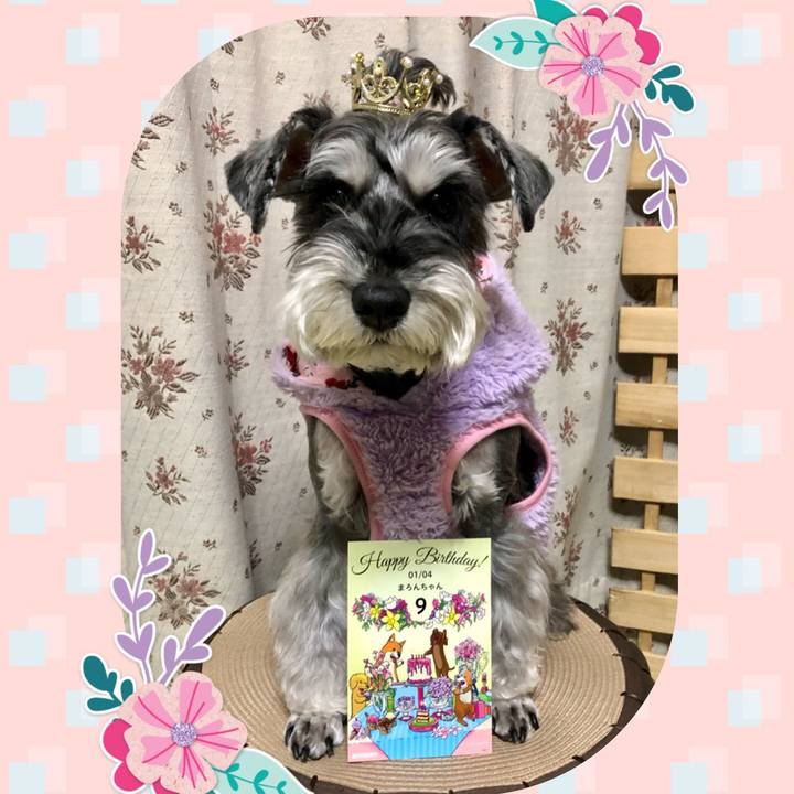 6fd84209 29ac 412e 8b9a dfcc0f0eafb5 1672832469724