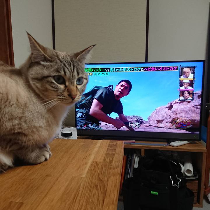 6fd86de6 d499 43f2 bb18 dd773f87b3d1 1550140159347