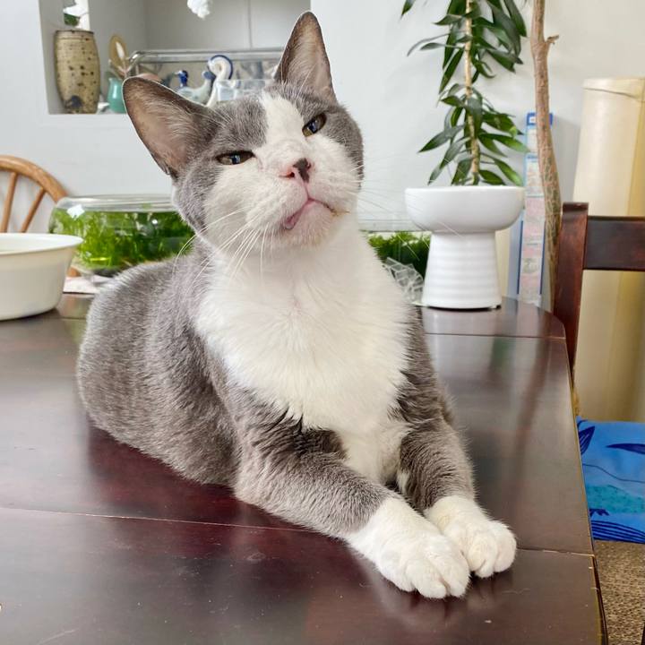 6fd87a49 6d3d 4d28 8cd1 da1456e39953 1757740106815