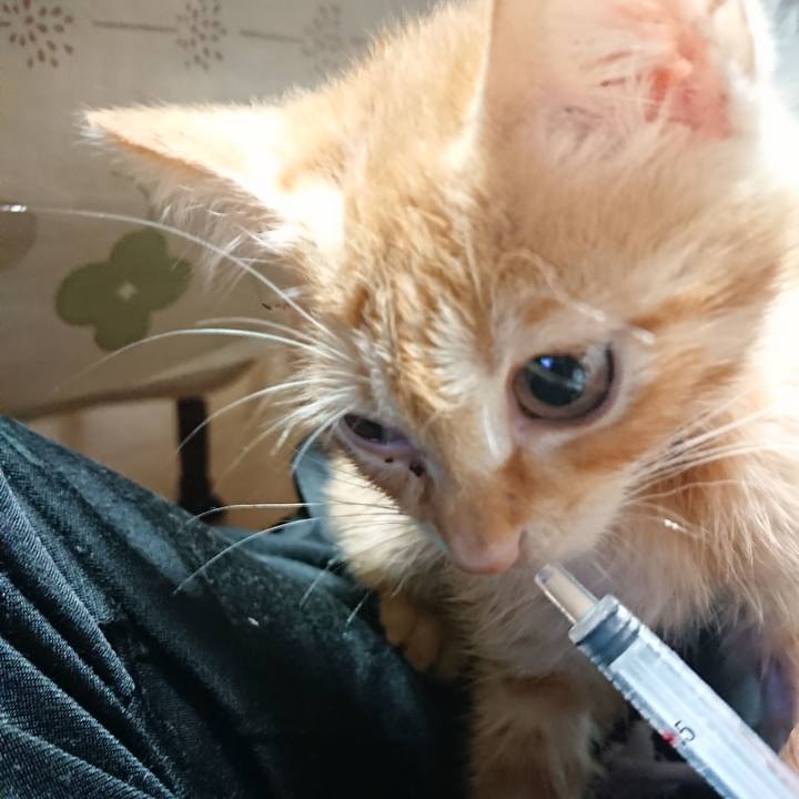 6fd89843 b2aa 413e a1a4 f7b8d8411cdb 1628803491051