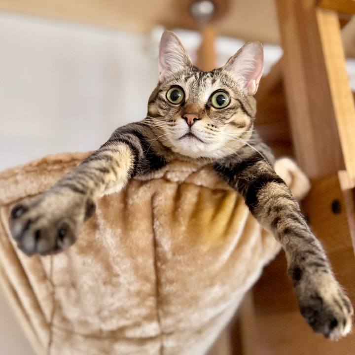 6fd89a3d 280a 4f8a 9da6 5df0afd9dcde 1773229950700