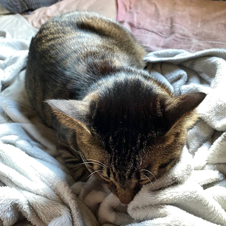 6fd8b42e 7880 46cd 9d23 46e3d418a3af 1606183404794