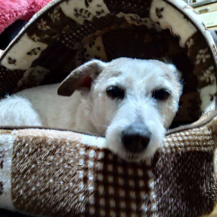 6fd8b5d1 570c 46bd 8aca 9be46f833b63 1713446029413