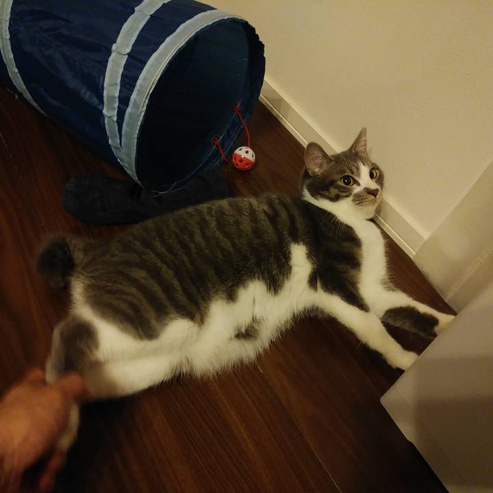 6fd8c02b 4189 4dc3 b725 c2478ddcf4a6 1580997334819