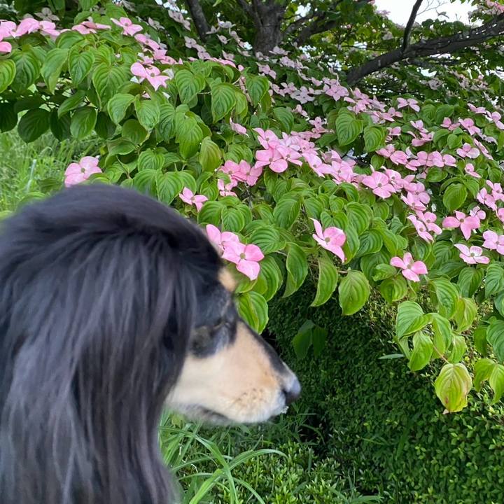 6fd8cb51 3ab6 4d8a 8fa2 3b7d43106b38 1747625228115