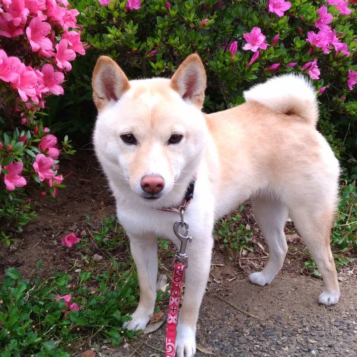 6fd8cb5d 6cb4 4424 96f1 0ad9cd016500 1527047572965