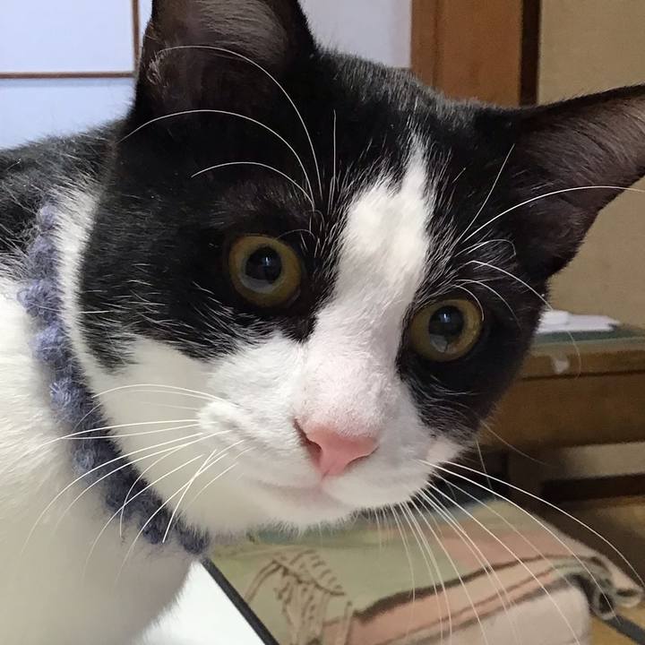 6fd8e6dd 6177 45ae bfd3 b9f531dad8d5 1641162904516