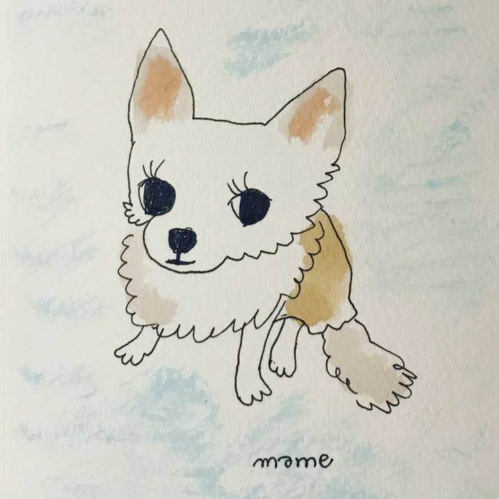 6fd8ff99 562e 4fe4 852e 4efcbdd7aeba 1624235817061