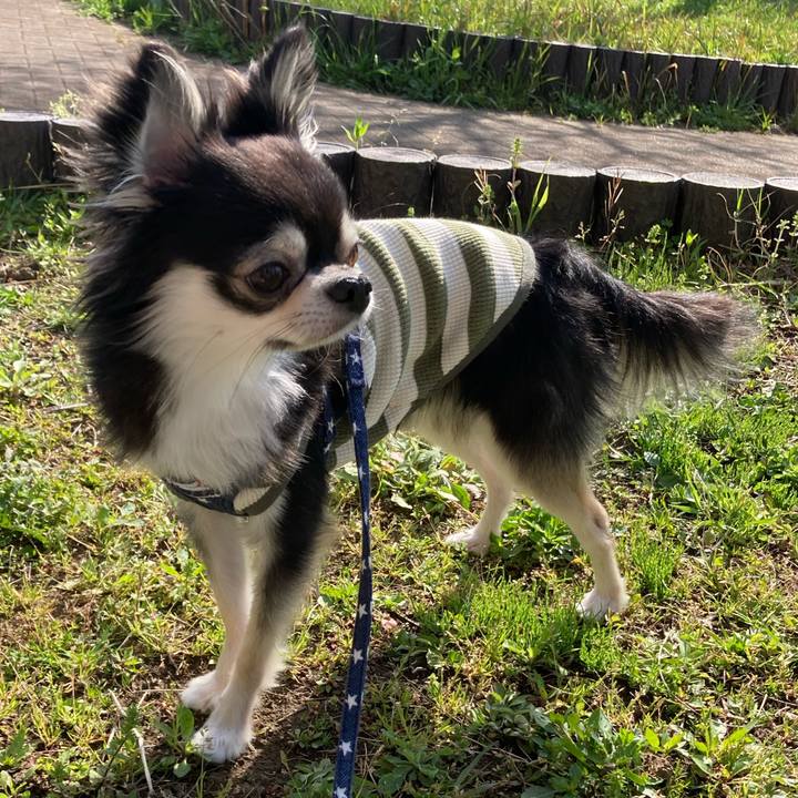 6fd90272 081d 4a4b a86d 163af532cf02 1649598401417