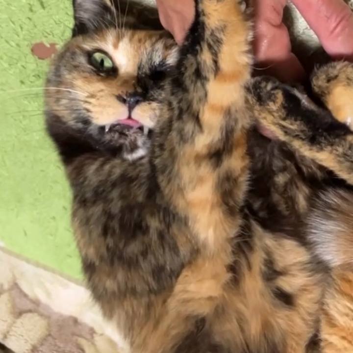 6fd91567 8ad5 4378 a022 4a30e1539583 1737633225373