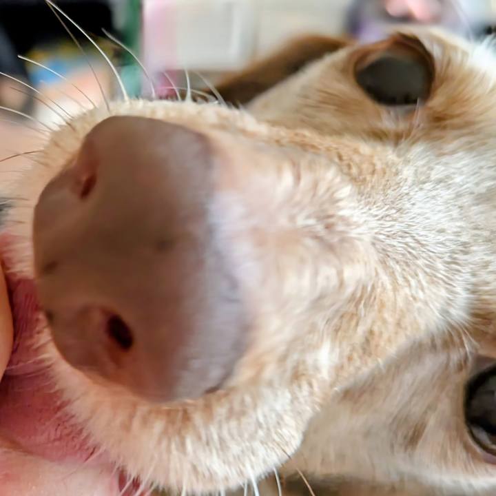 6fd923b1 2607 40cc 8fc1 b34757cb0b0c 1761092552359