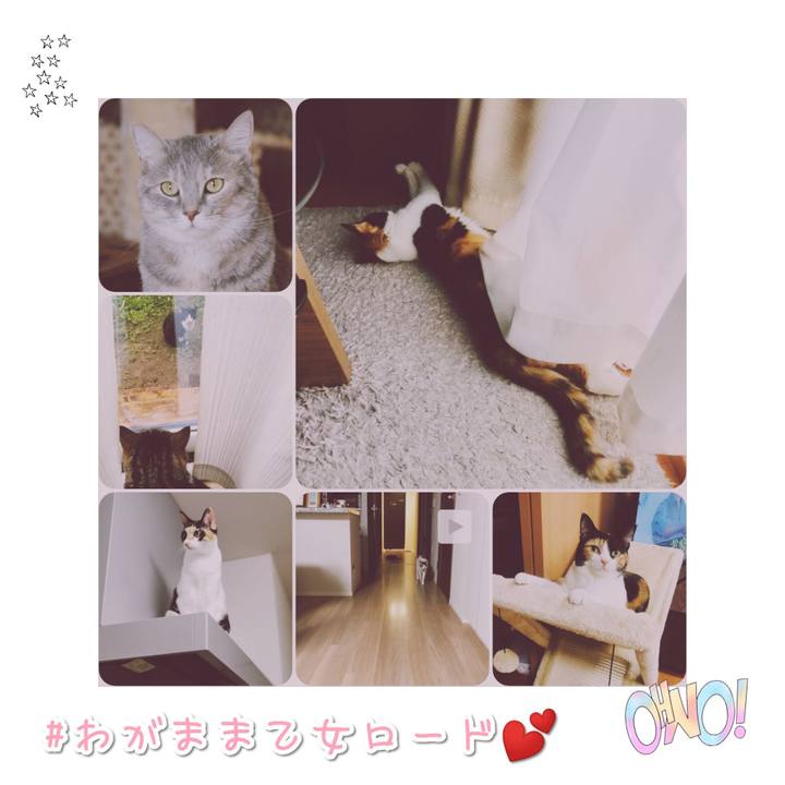 6fd924c5 7de1 42bf 817c ed17cc848a7c 1568633714126