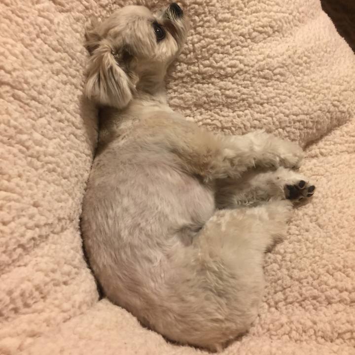 6fd92a09 0b65 4bb2 85d4 ab0068857233 1516880329850