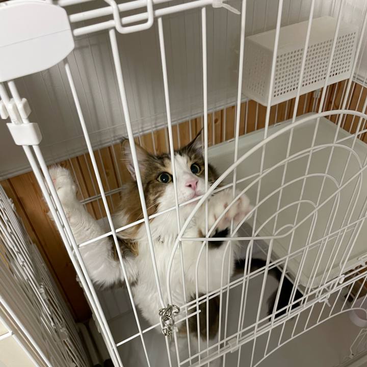 6fd9381c 499b 47c3 8547 c0ee798e2835 1692127861816