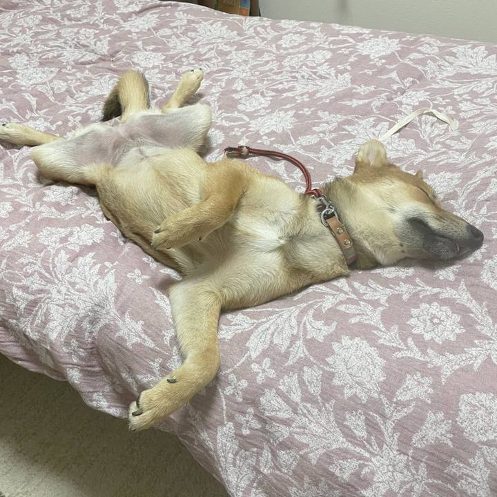 6fd98338 a078 4c19 82be f2ad3b0f81ac 1664108553130