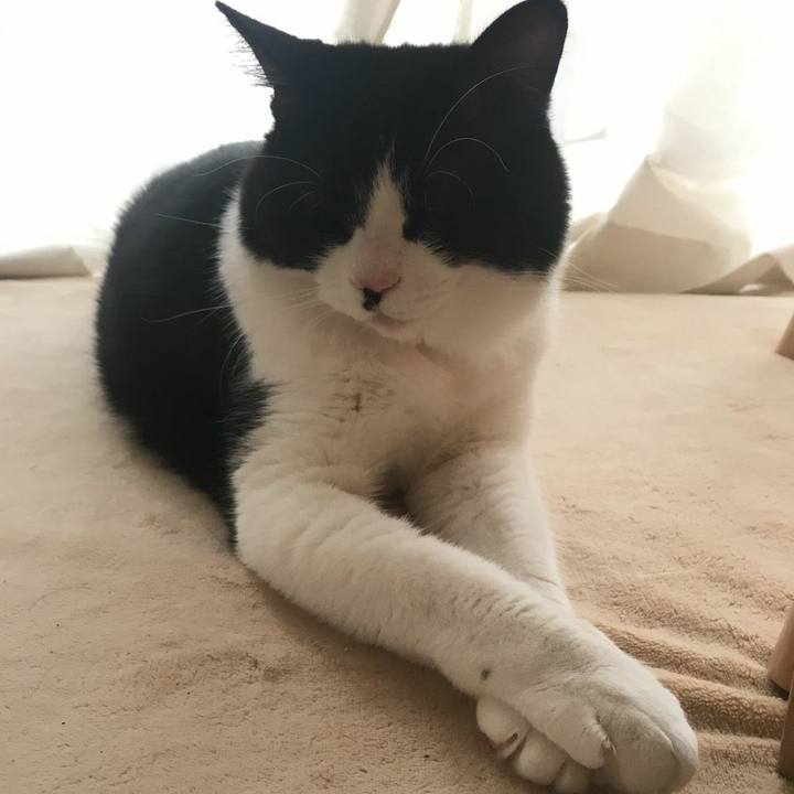 6fd98400 36fa 44e8 a0d7 a5c49bd98fda 1576383091838