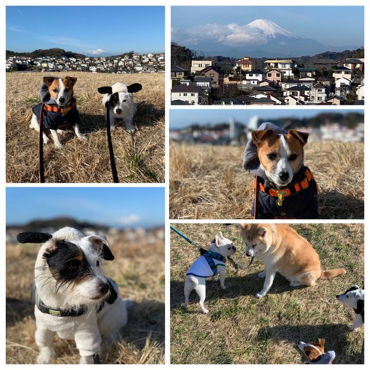 6fd99e44 aa73 434b a627 54a7943a95f9 1578620571759