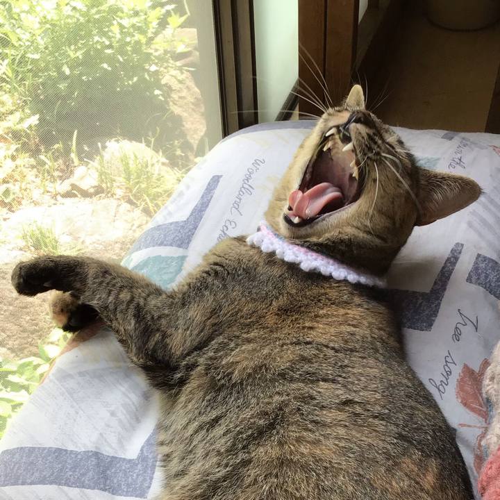 6fd9a571 f96d 4263 a303 49bcda6d088f 1598150259819