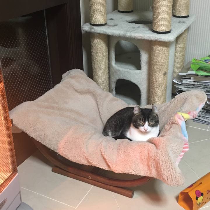 6fd9a8bb a246 4ea6 b742 93623ab80cd2 1514032109497