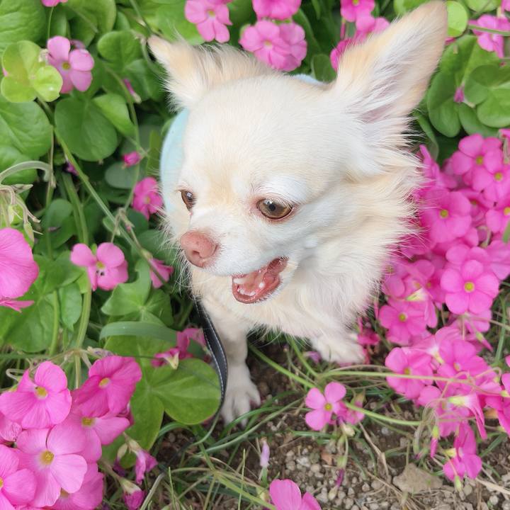 6fd9aa44 ad8d 4203 abcc 51171c50bdc3 1731321471575