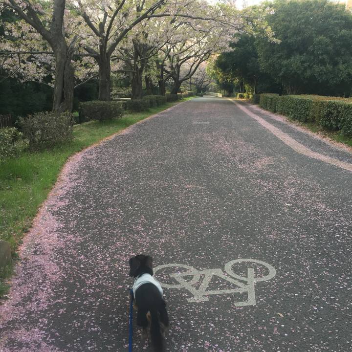 6fd9b049 1ba9 4ef8 aac5 dc9957bf03c9 1522577182384