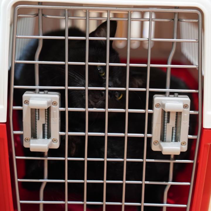 6fda1215 3800 4ab0 a775 0602988616ce 1631361908248