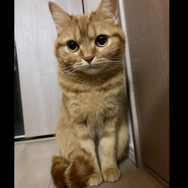 6fda2d7e 8eab 4907 950d 68f7c860474c 1521672473345