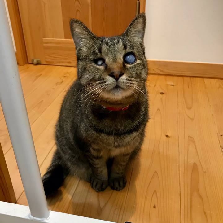 6fda3526 26e8 4593 9b12 23515862b6e3 1607920700513