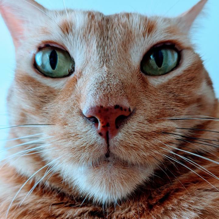 6fda7344 4659 4fec 86c9 f4d504124cb4 1752746182960