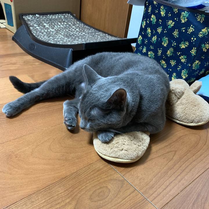 6fdaa9da 7f27 4ca9 b1e5 c4ecf6deafff 1632556058560