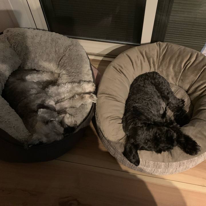 6fdadb65 ba5e 4204 9205 be9a7cf48068 1693391489548