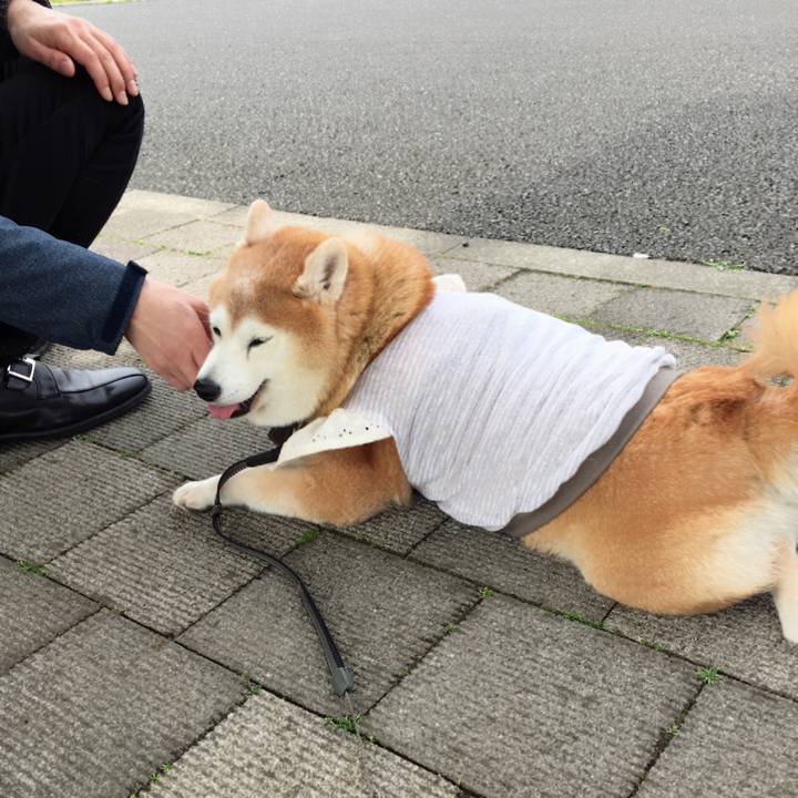 6fdaeb24 74fd 47fa 923c 0fc55ea772c5 1586942798366