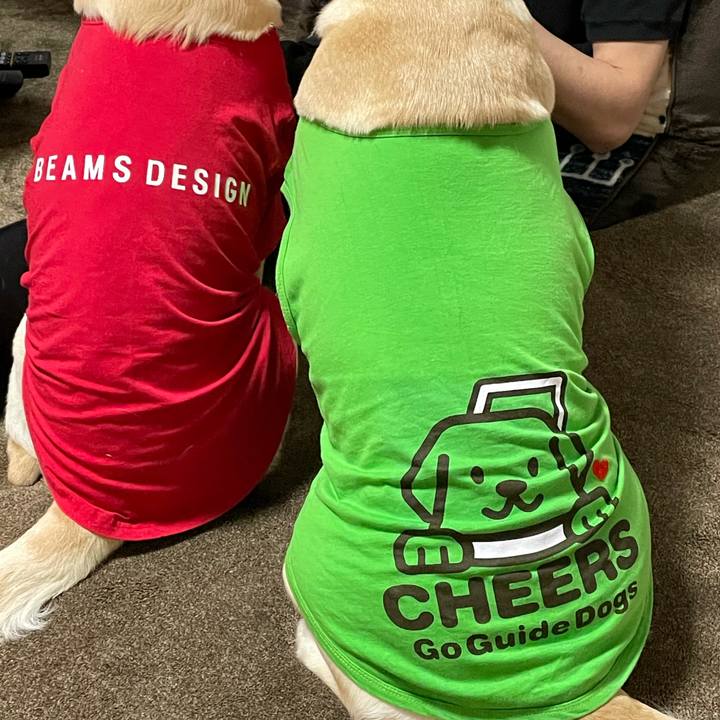 6fdb0726 b48e 4fed 903c 7bbe96d2118a 1620906718296