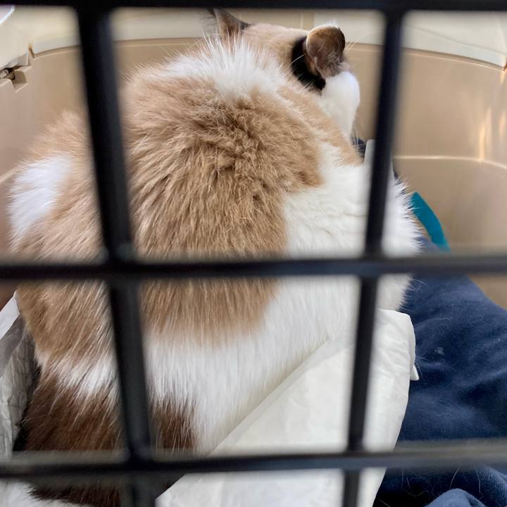 6fdb2fc0 4f0d 40a6 8242 df63fd0d3cc6 1675559854054