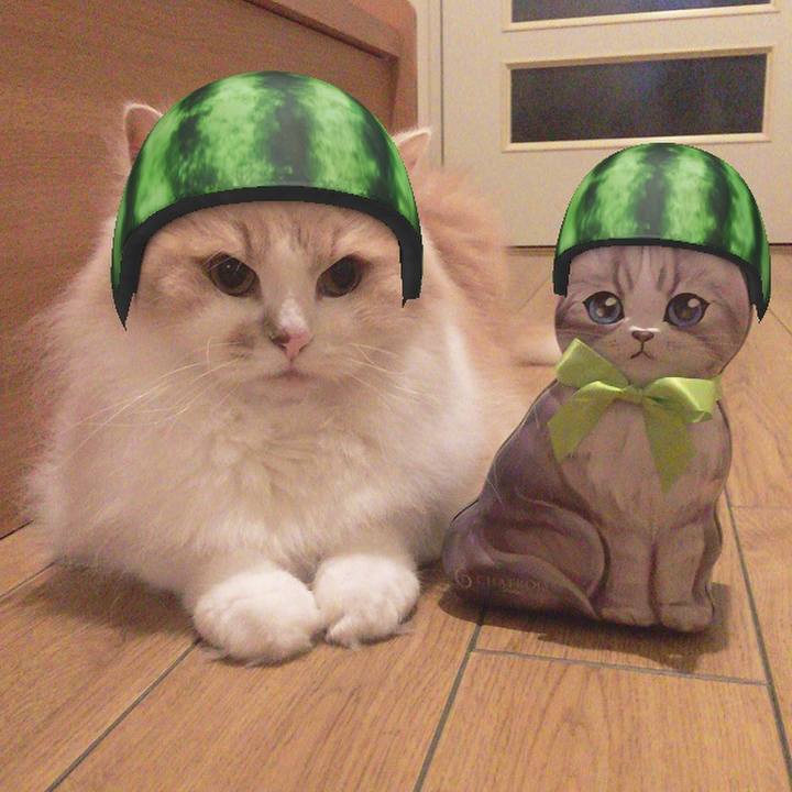 6fdb403f 17e4 4abd bed8 a3934a9f160d 1563099542079