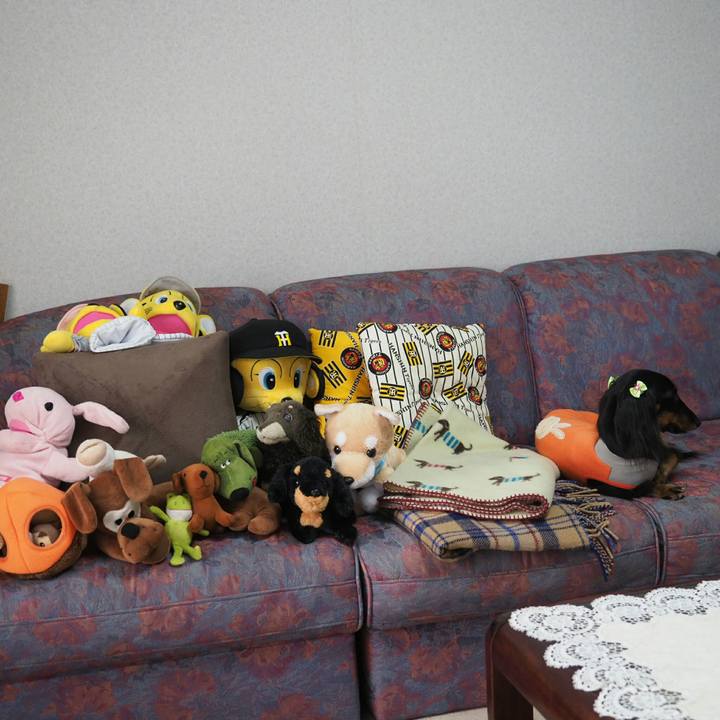 6fdb4251 90a9 4e91 ba24 2529f32184a4 1548479019399