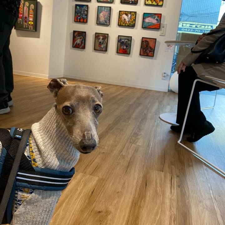 6fdb468e 709c 45c3 81a8 4531623c4e61 1763786525440