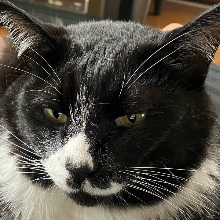 6fdb4aa6 b2d3 4dd3 ab8d bcf690ecc817 1760151160661