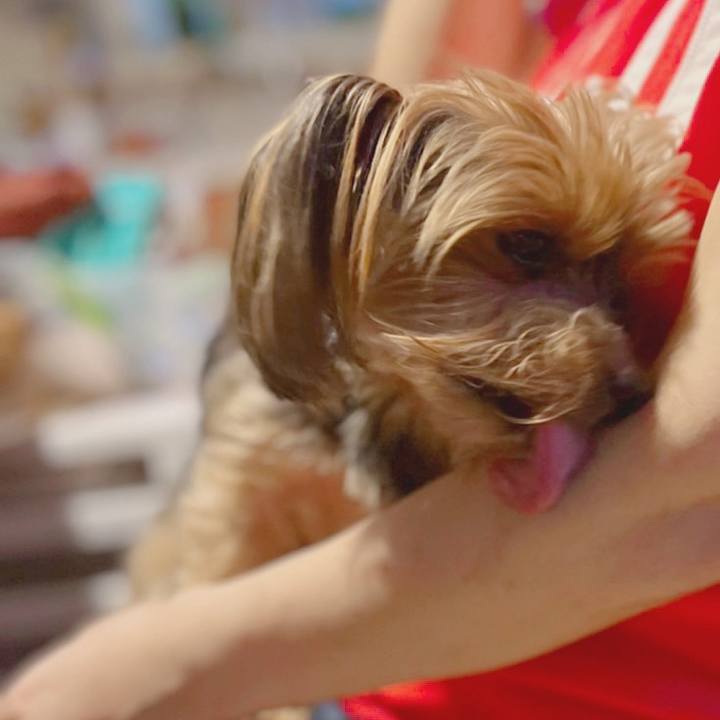 6fdb716b 28ff 4cef acbb 3259840c123d 1660780362709