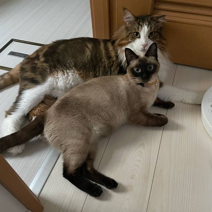 6fdb87ea ccb8 4594 bcb2 ba9fb5ccabf5 1723751588332