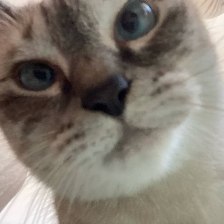 6fdb984e d8c0 4fff b1a9 a915bab17f2f 1726285191537