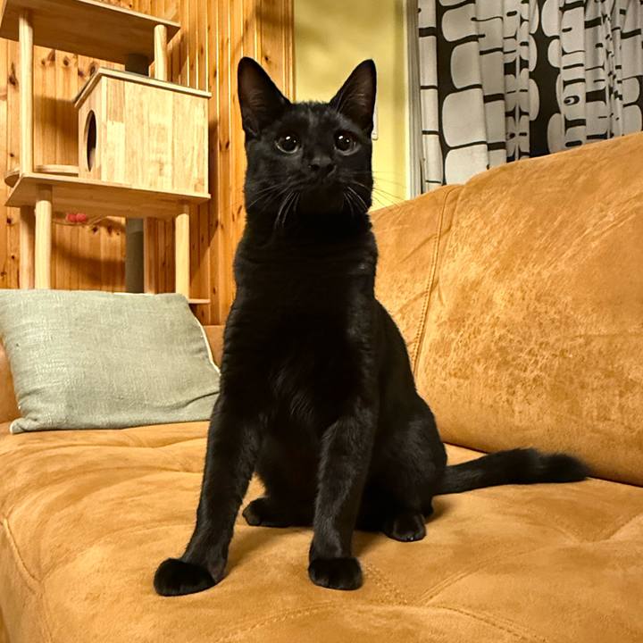 6fdbf04a 751a 4ef9 85f3 c89f761dc88e 1760784647457