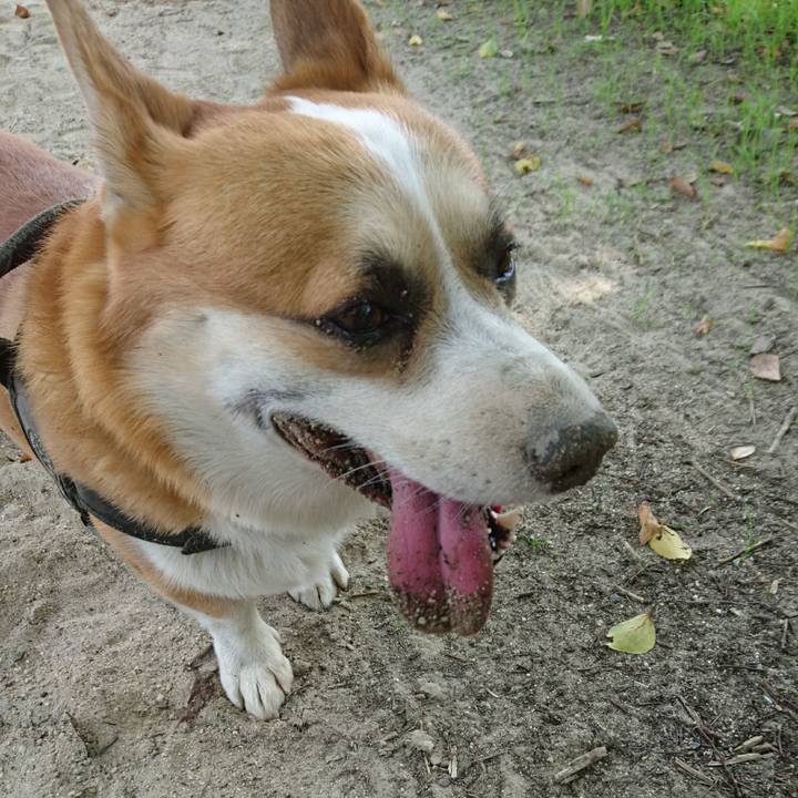 6fdbf8dd e385 4a23 8571 13f05f414310 1633401919961