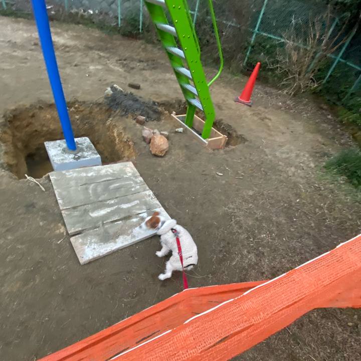 6fdc0d02 3421 4651 9e42 5bd0ec69de24 1740315354345