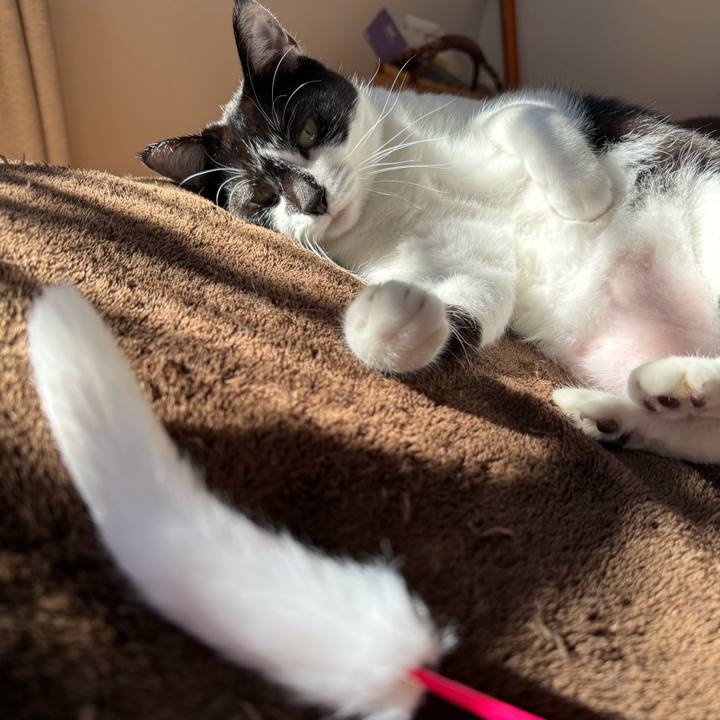 6fdc1ddf 5bdb 4c24 957d 47c4437579ec 1767405303262