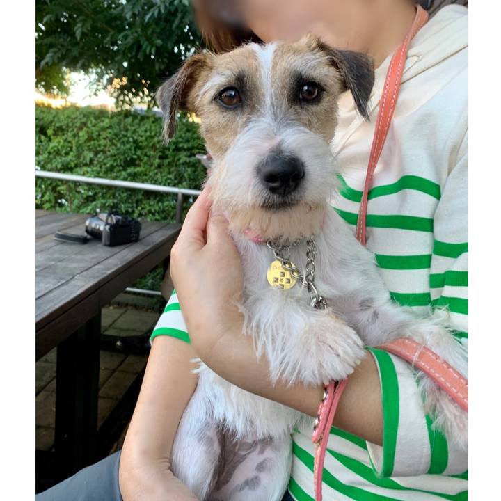 6fdc54c2 2219 4bc7 a270 8a8a5828dc50 1603618838199