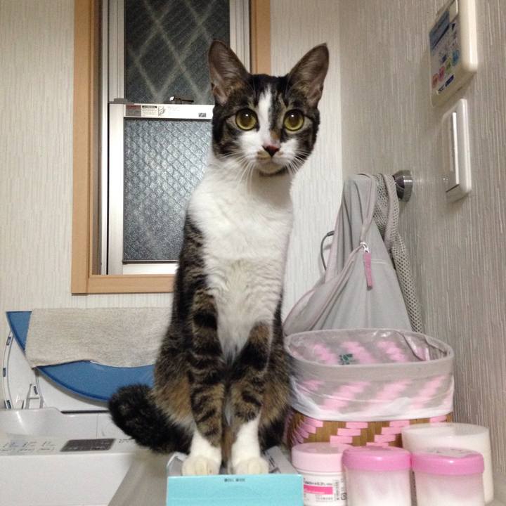 6fdc77a9 5505 43c2 a54e cb4dc8d2f7e2 1513540035511