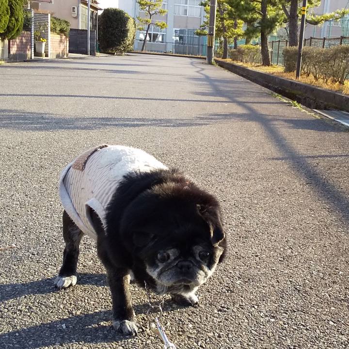 6fdcb9a4 948a 4438 8b17 023b271823be 1554651410848