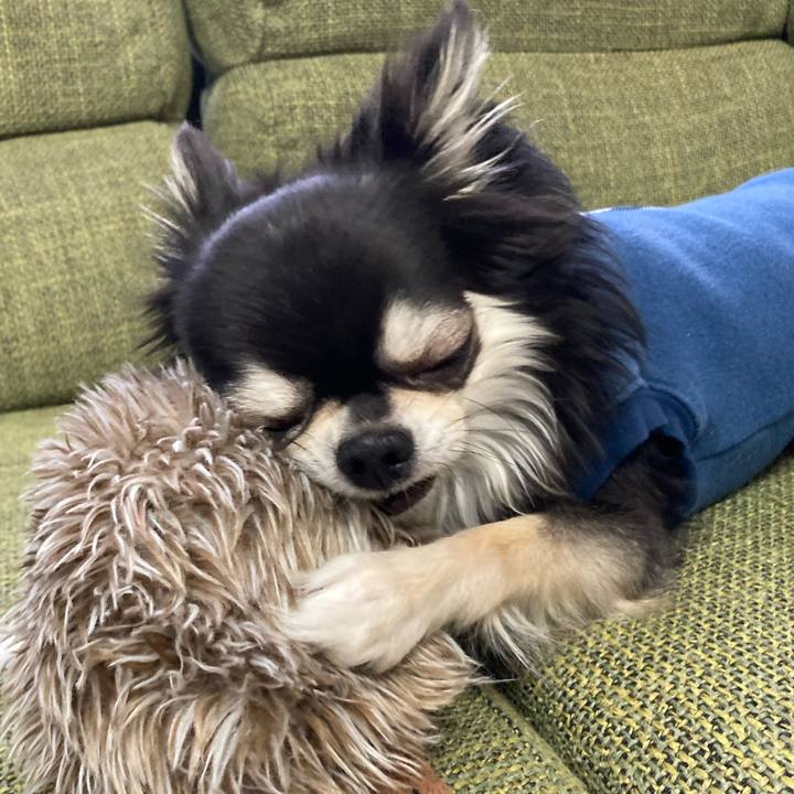 6fdcc325 f906 4d2c 8f0c 86b5af9ab247 1677162896450