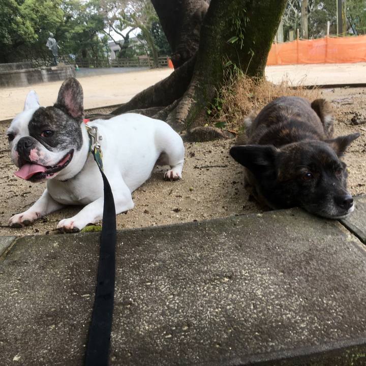 6fdd1885 048c 42c3 bf2e 518db89adcaf 1521640796475